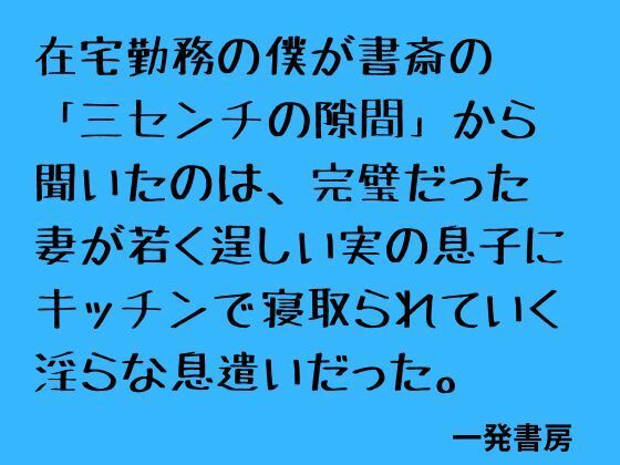 d_796576【在宅勤務の僕が書斎の「三センチの隙間」から聞いたのは、完璧だった妻が若く逞しい実の息子にキッチンで寝取られていく淫らな息遣いだった。】hitomiエロ漫画無料raw