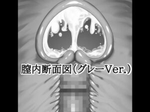 d_813604【膣内断面図素材（グレーVer.）】hitomiエロ漫画無料raw