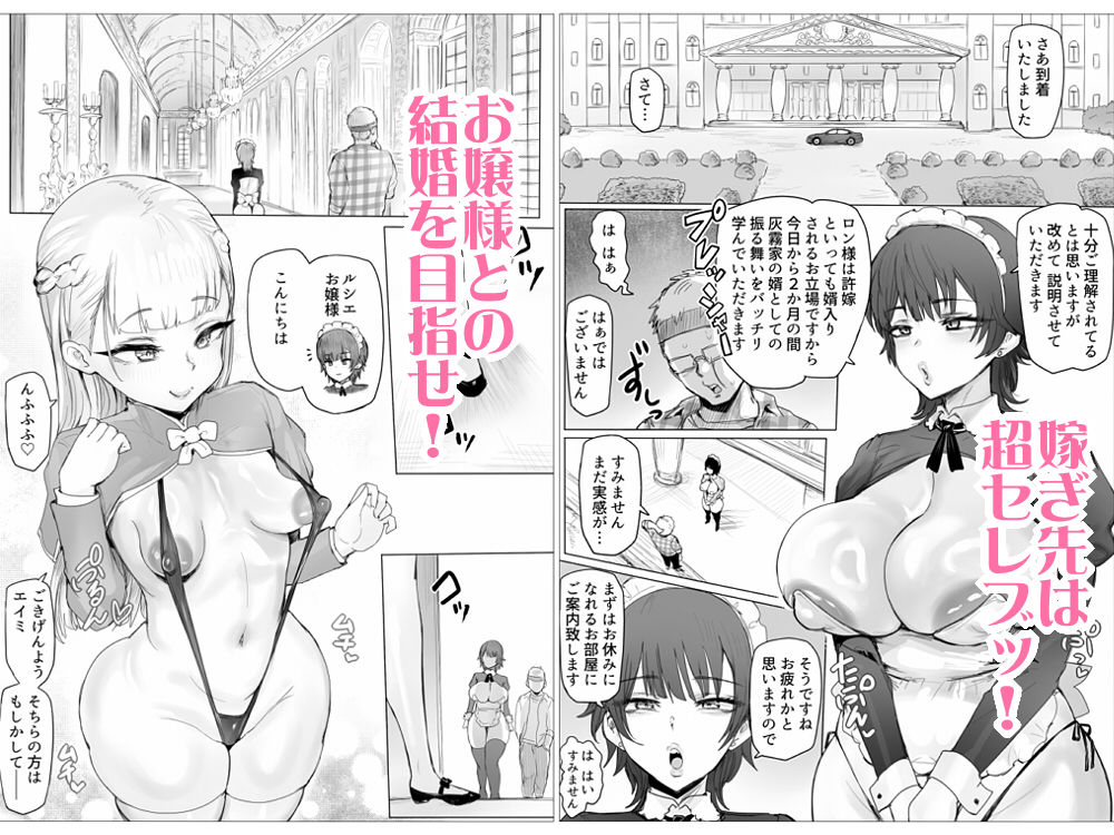 メイドで生ハメ練習したらお嬢様のコキ穴を攻略だ! d_805006 画像2